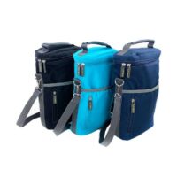 Insulated 2-Bottle Wine Tote, BagMYGift