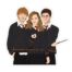 Harry Potter Golden Trio Sticker, BagMYGift