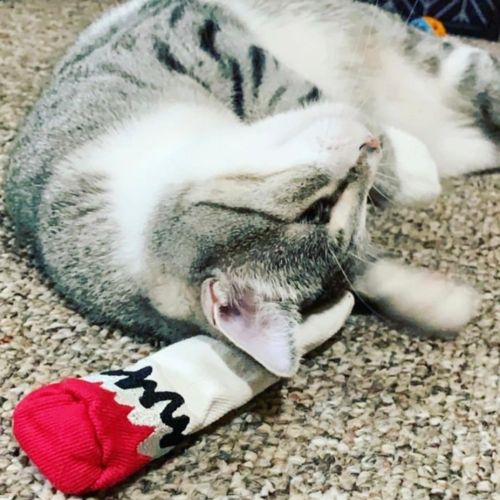 Hemp Cat Nip Joint w/ Cat Nip, BagMYGift